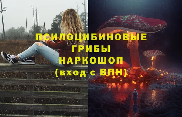 дурь Верея